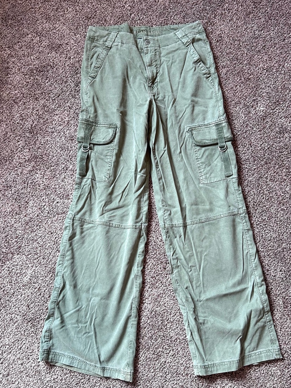 American Eagle Baggy Wide Leg Cargo Pants